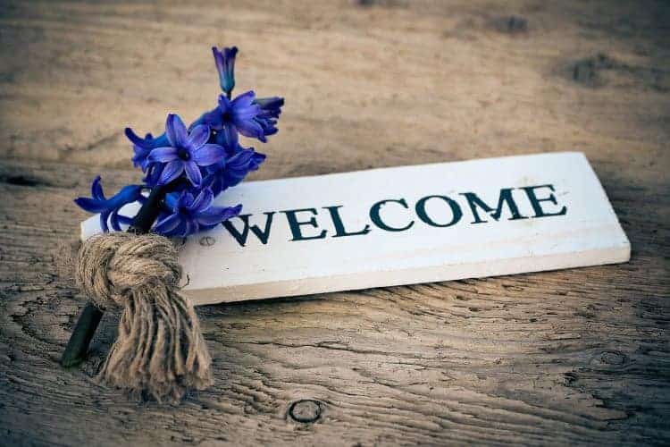 welcome writing and hyacinth