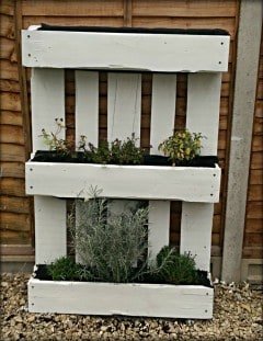 herb garden made out of a pallet