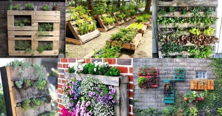 Amazing DIY Pallet Garden Ideas