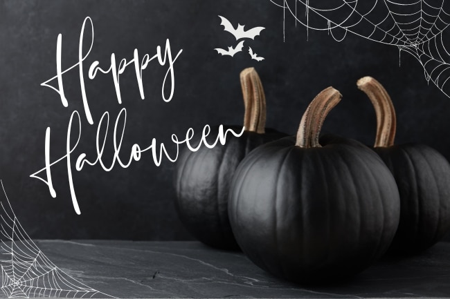 black painted pumpkins on a black background-elegant and chic halloween decor